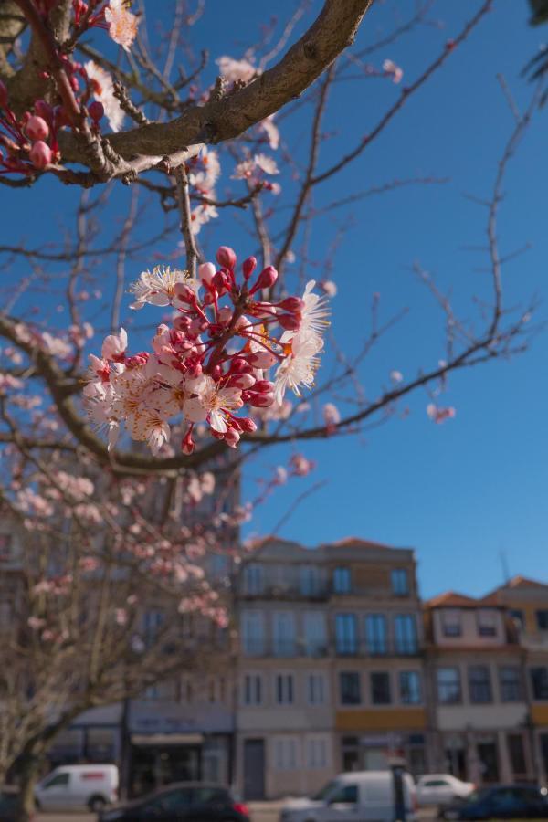 Burgo Apartments Republica Porto Dış mekan fotoğraf